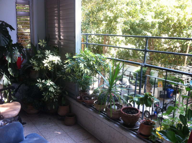 להשכרה בקרבת סוקולוב