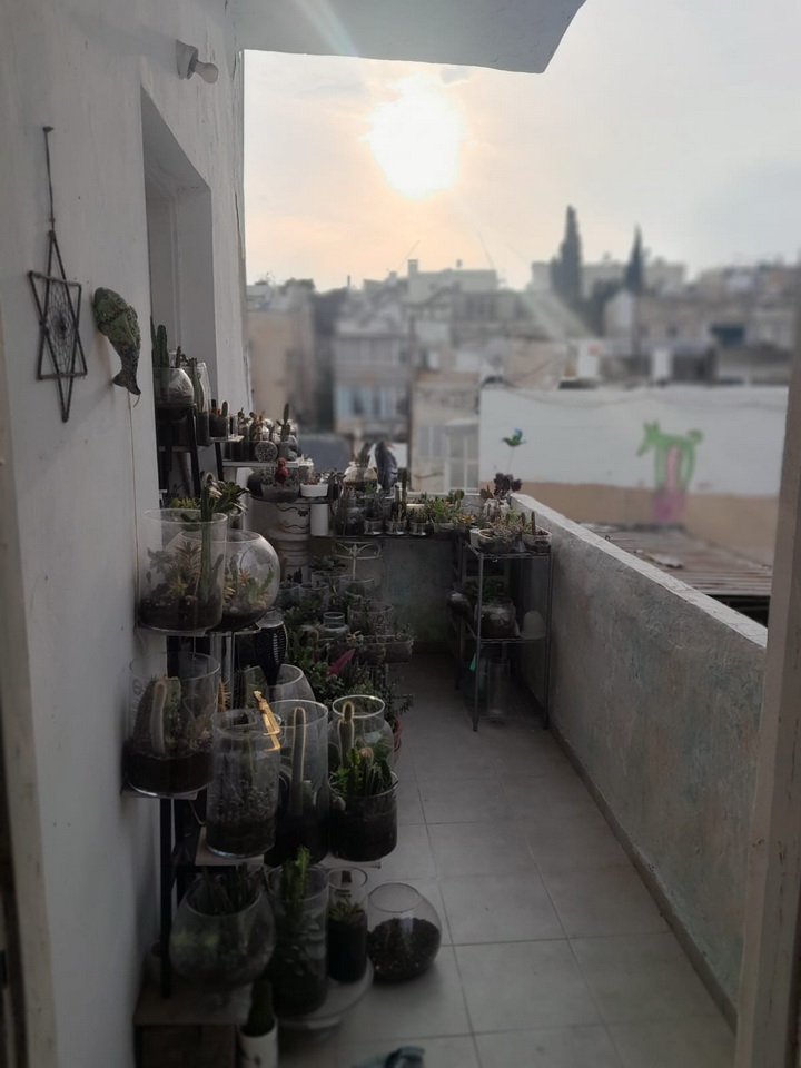 דירות להשכרה בתל אביב