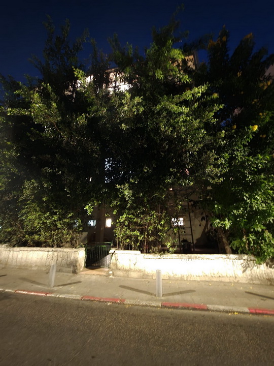 דירה ליד הים