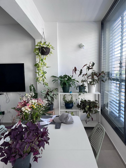 דירה למכירה בתל אביב