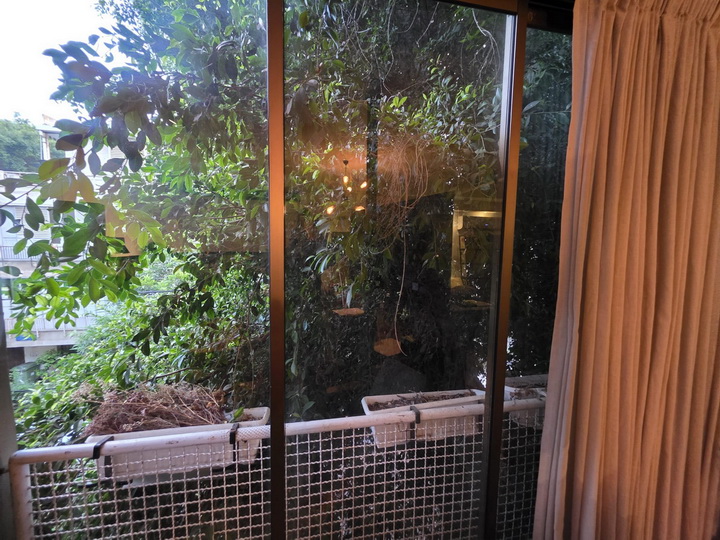 דירה בתל אביב